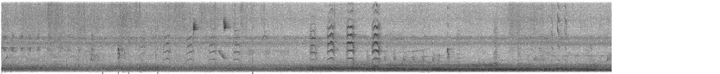 Gila Woodpecker - ML622541387