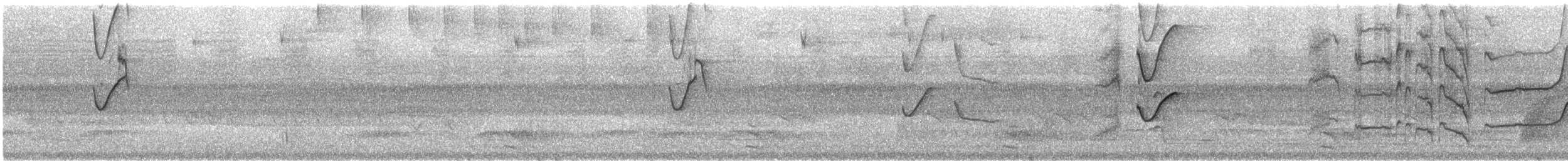 Cinereous Becard - ML622551824
