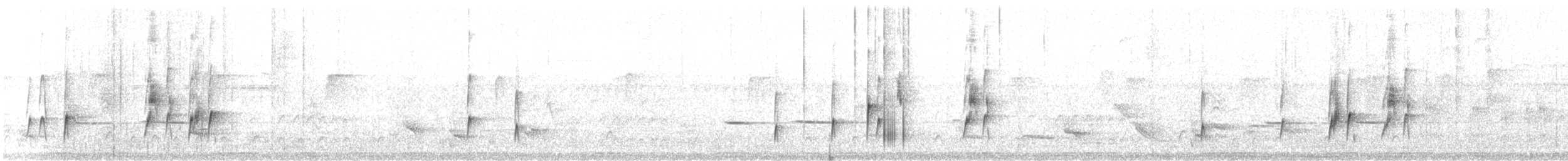 Riverside Tyrant (Sclater's) - ML622552289