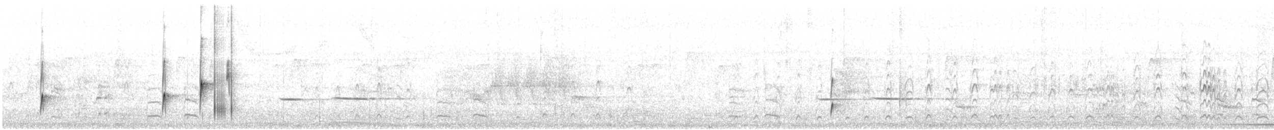 Riverside Tyrant (Sclater's) - ML622552290