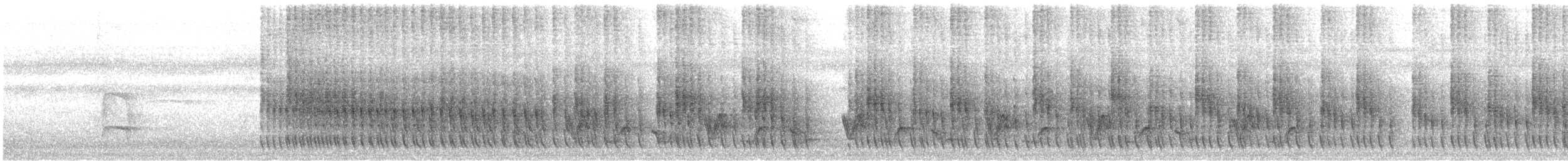 Plain Softtail (obidensis) - ML622552438