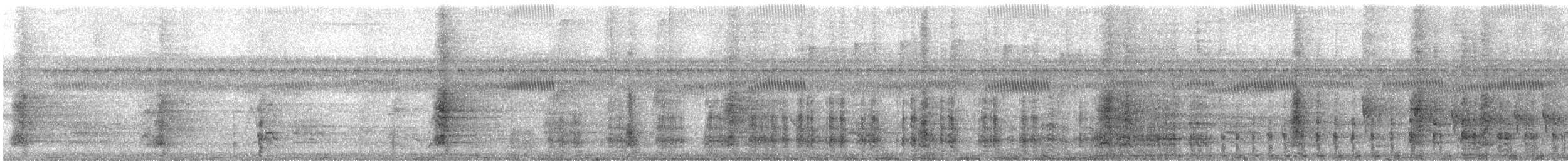 gråvingetrompetfugl (crepitans) - ML622552713