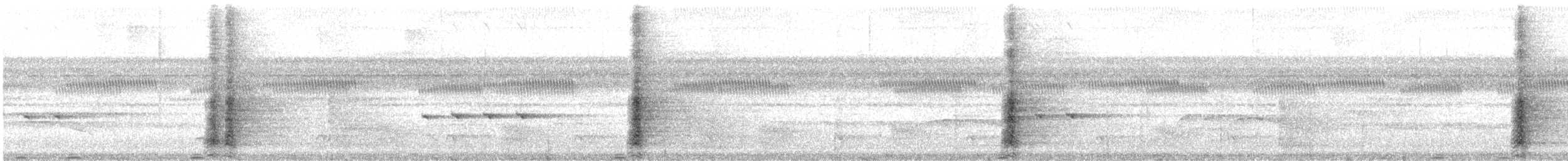 gråvingetrompetfugl (crepitans) - ML622552717