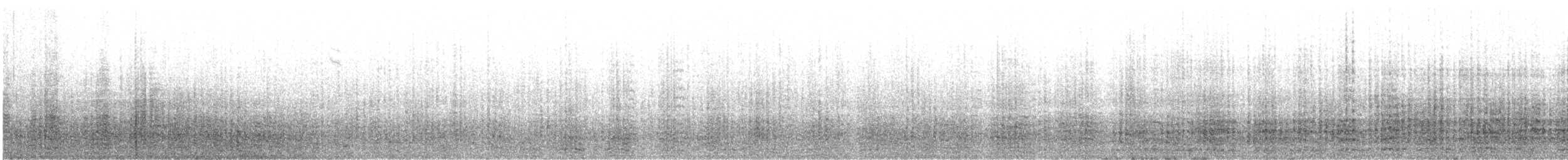 Сула атлантична - ML622555948