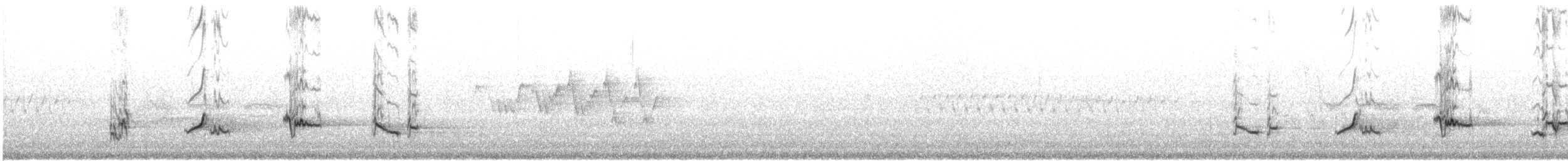 American Robin - ML622563333