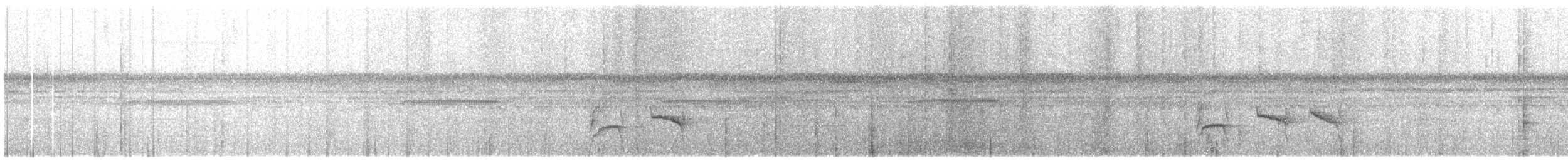 Перуанская муравьянка - ML622563845