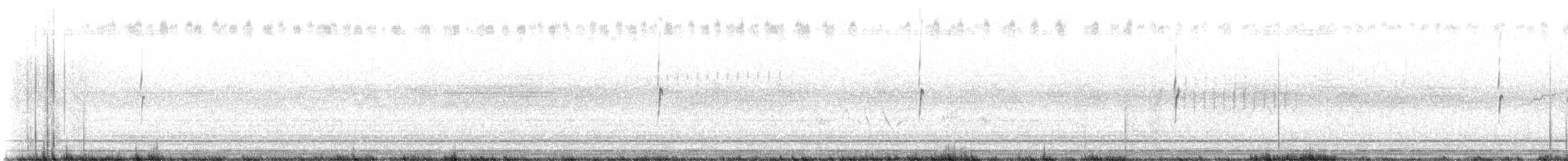 Chevalier solitaire - ML622572941