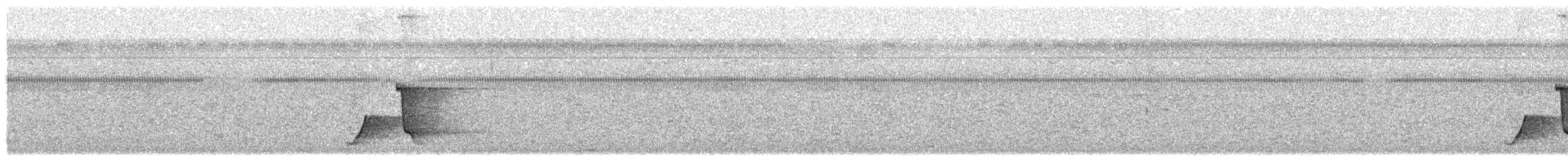 Petroica Flanquinegra - ML622573268