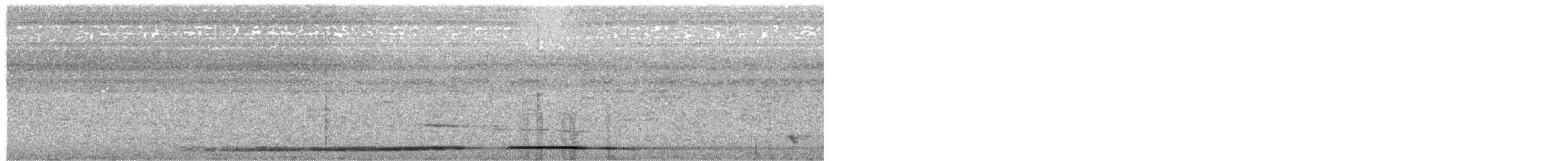 Papuan Pitta (Northern) - ML622573355