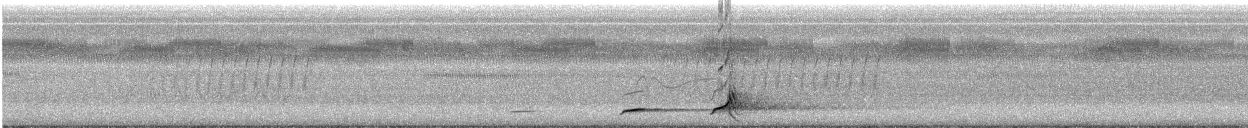 Colin de Virginie - ML622574591