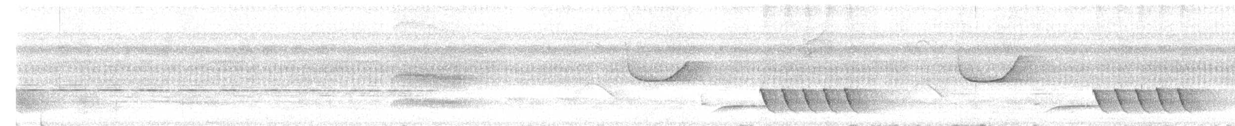 Troglodyte coraya - ML622575081