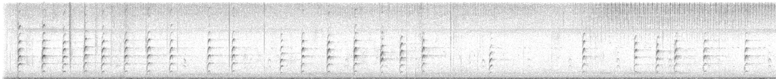 Schwarznacken-Stelzenläufer (mexicanus) - ML622576703