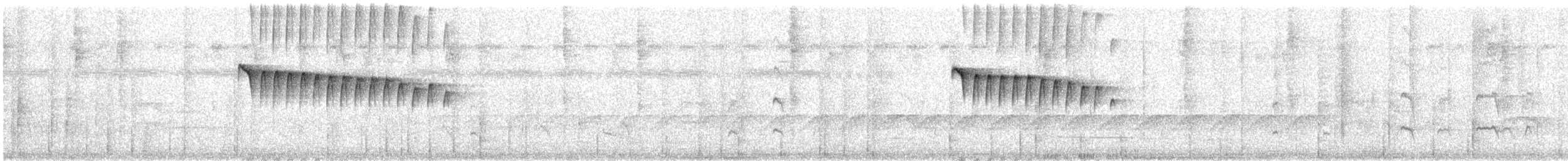 Ornate Stipplethroat - ML622579047