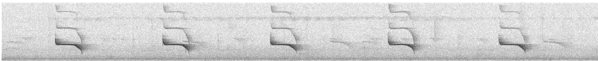 シロボシアリドリ - ML622579052