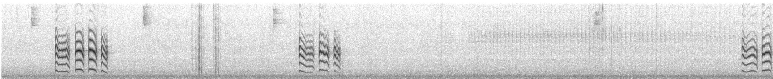 Mouse-colored Tyrannulet (Southern) - ML622581502