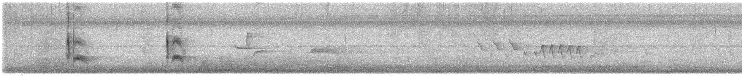 Cassin's Kingbird - ML622581656