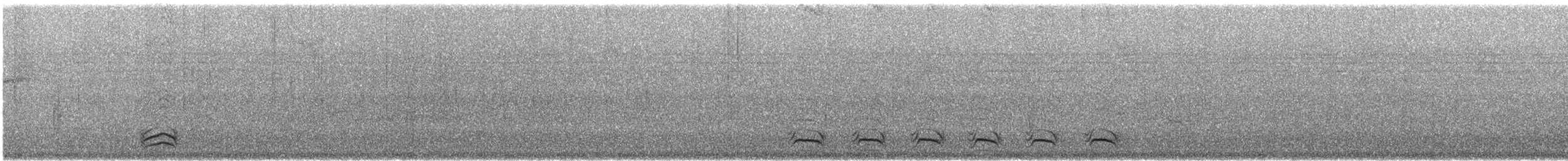 Variable Antshrike - ML622581858