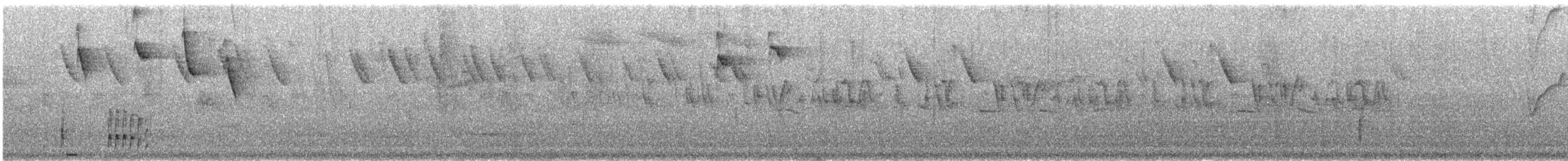 Smoky-fronted Tody-Flycatcher - ML622581886