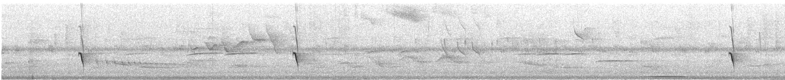 Guianan Tyrannulet - ML622581951