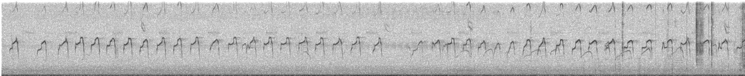 Txilinporta mokolodia - ML622584354