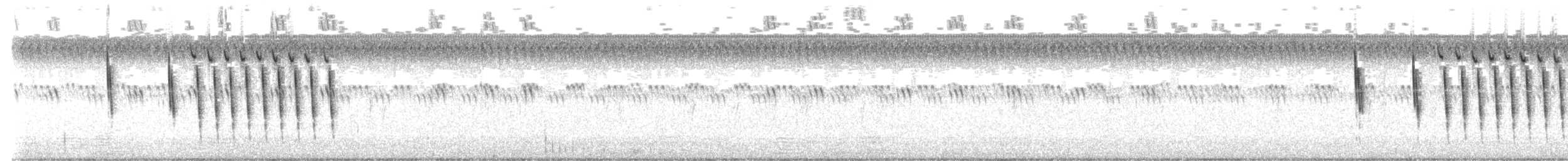 Sedge Wren - ML622584548