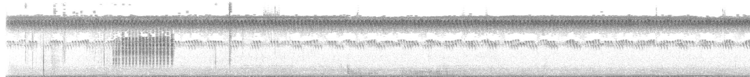 Sedge Wren - ML622584645