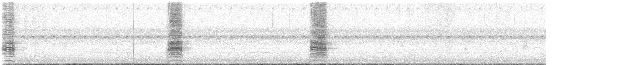 Clapper Rail - ML622585487