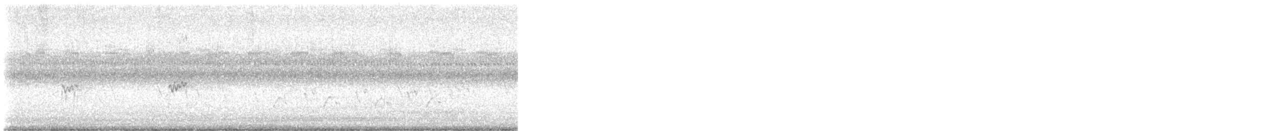 Least Sandpiper - ML622585590