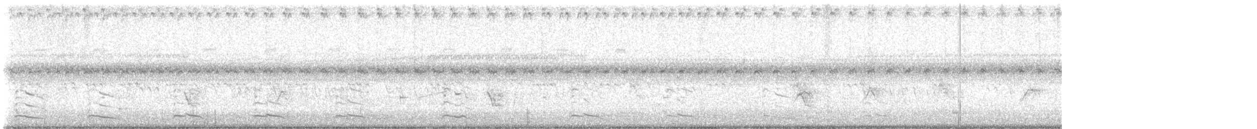 American Herring Gull - ML622585597