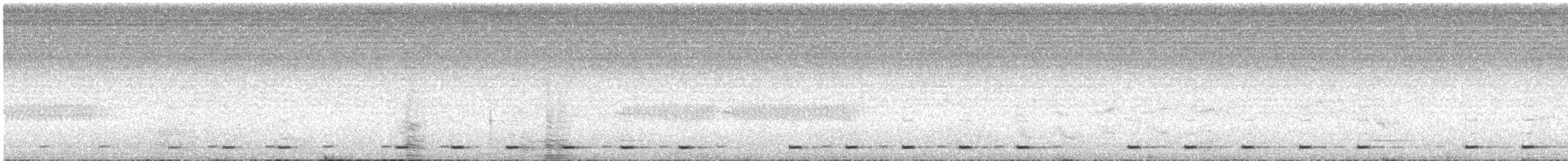 Goldbürzel-Bartvogel - ML622590428