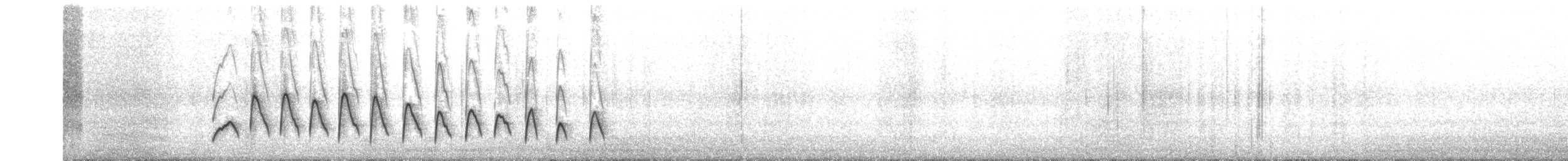 buřníček žlutonohý (ssp. chilensis) - ML622603424