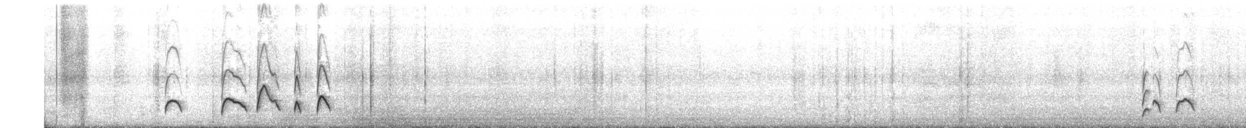 buřníček žlutonohý (ssp. chilensis) - ML622603425