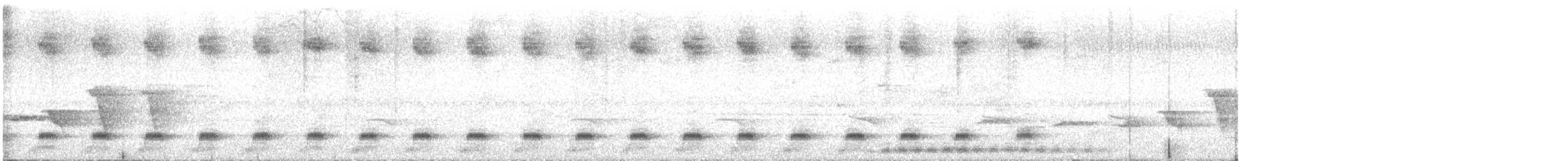 White-striped Forest Rail - ML622605989