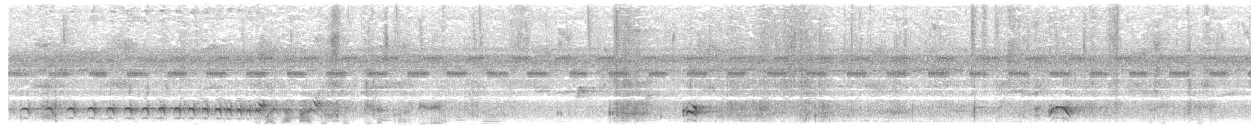Lined Antshrike - ML622608040