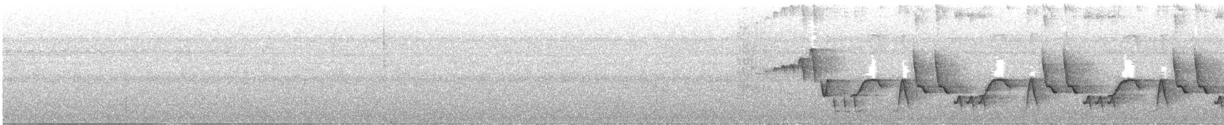Bay Wren - ML622612926