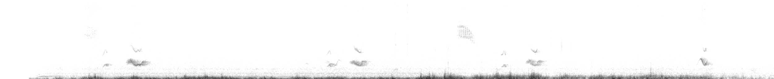 פרוש כחול - ML622615691