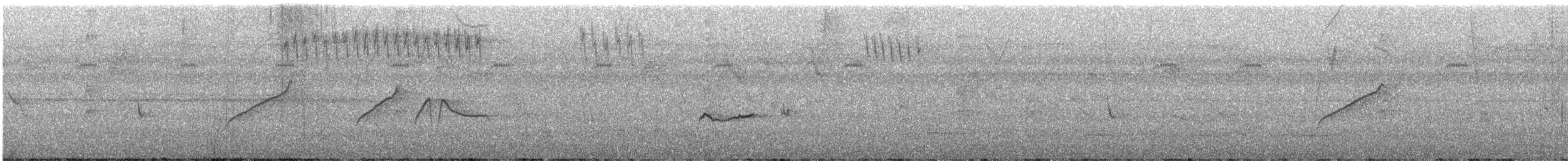 Moucherolle à longs brins - ML622628458