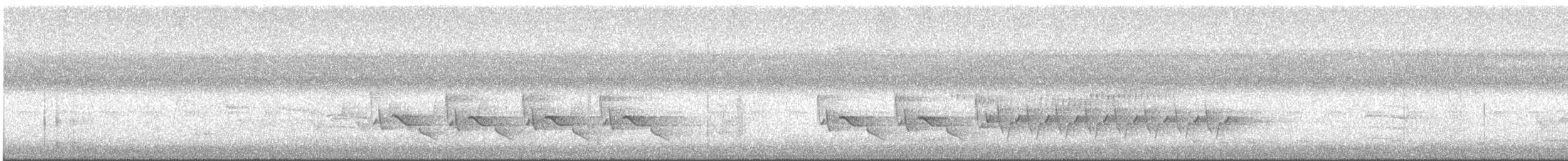Carolina Wren - ML622629361