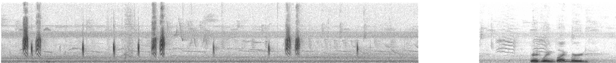 Red-winged Blackbird - ML622636214