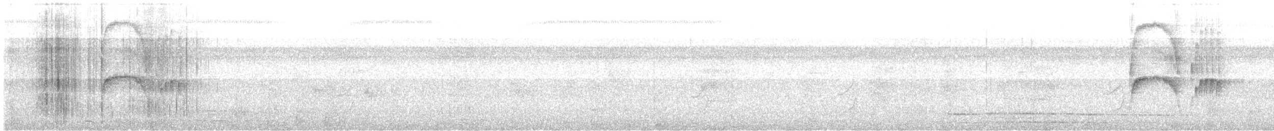 Orange-eyed Flatbill - ML622642483