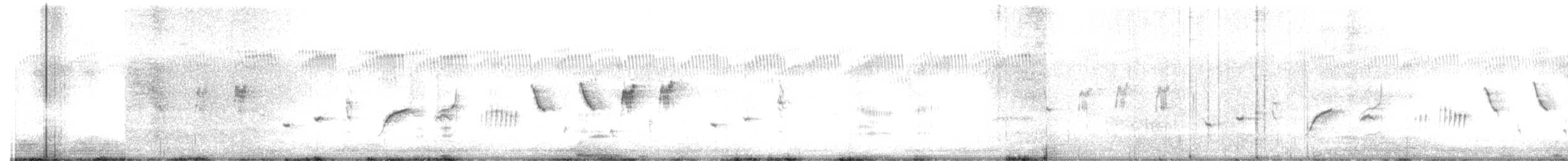 Séricorne strié - ML622643021