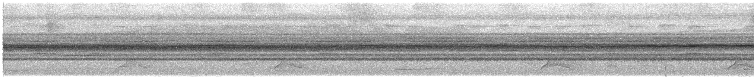 ボルネオガマグチヨタカ - ML622644318