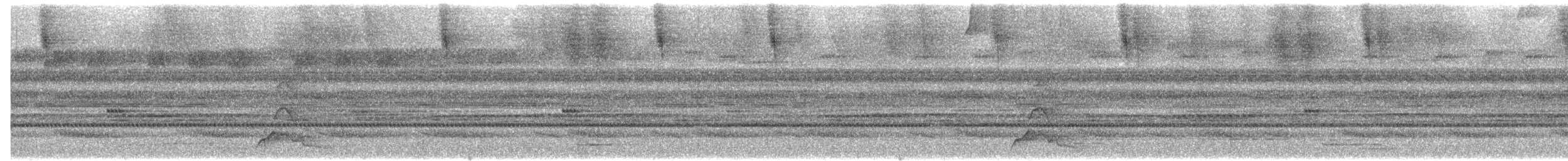 ボルネオガマグチヨタカ - ML622644332
