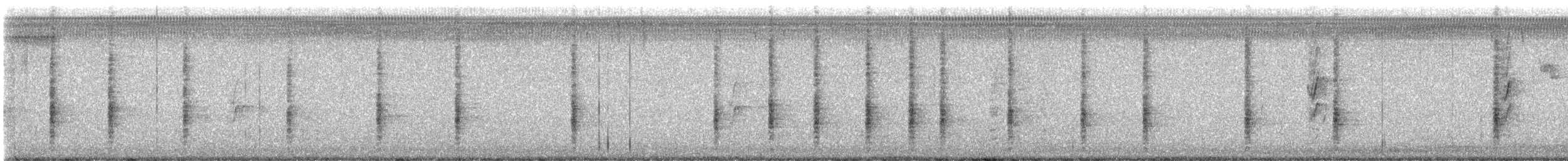 Quiscale à longue queue - ML622651653