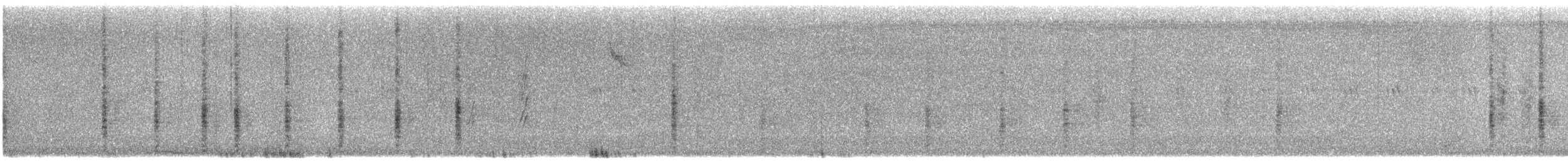 Quiscale à longue queue - ML622651906