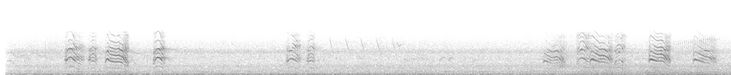 Black-lored Babbler - ML622655275
