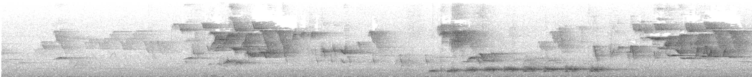 Серый павлиний фазан - ML622655592