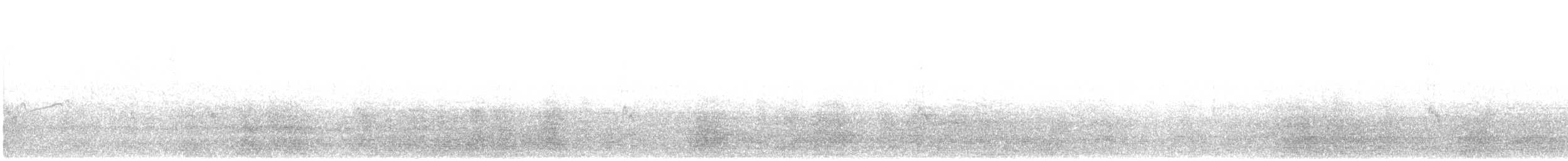 shorebird sp. - ML622663447