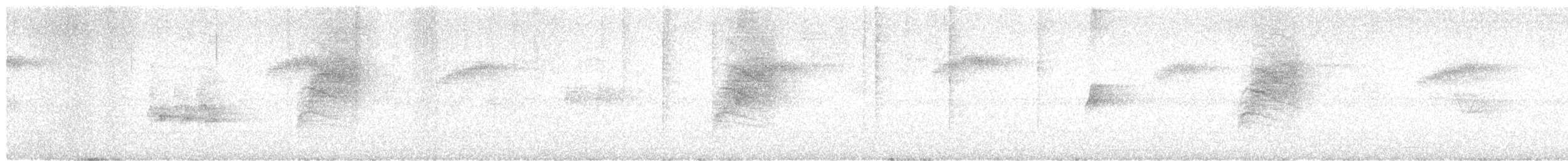 White-browed Gnatcatcher - ML622673666