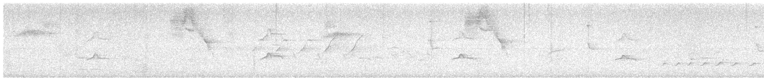 Piratic Flycatcher - ML622673806